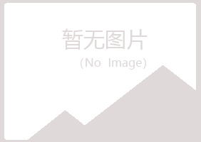 佛山高明夏日服务有限公司